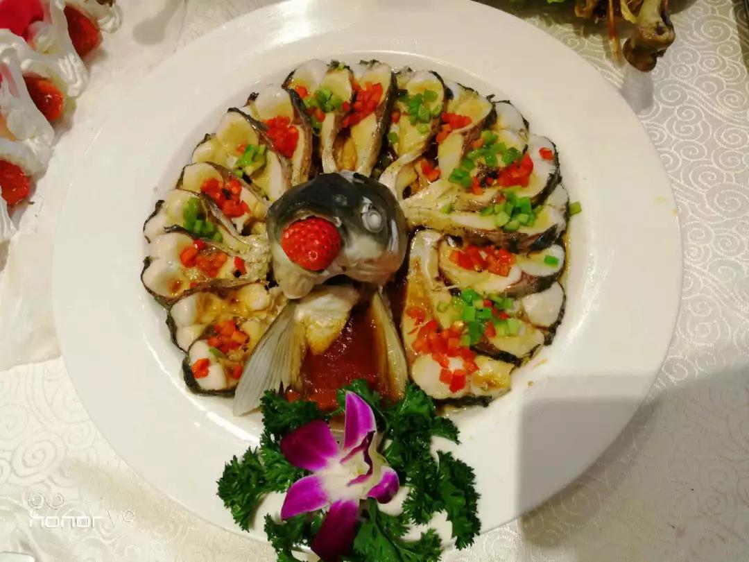 孔雀開(kāi)屏魚(yú) 孔雀開(kāi)屏魚(yú)