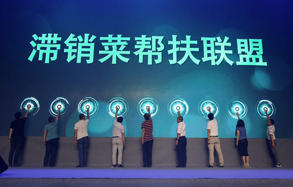 最美菜公益基金滯銷(xiāo)菜幫扶計劃啟動(dòng) 