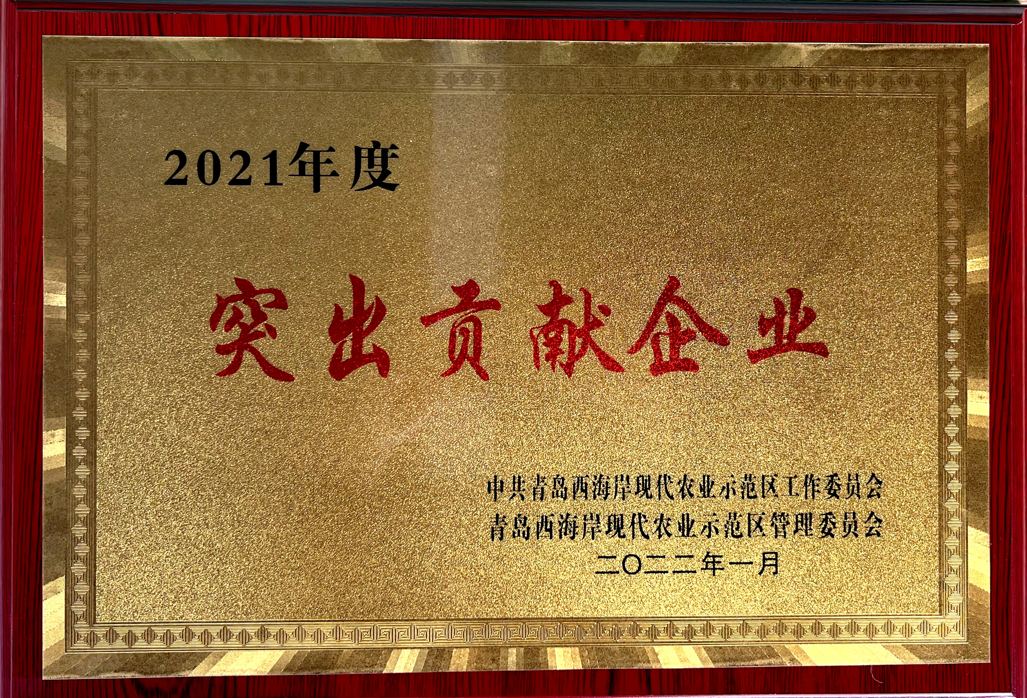 步履不停 榮耀卓然——集團各項目榮譽(yù)集錦